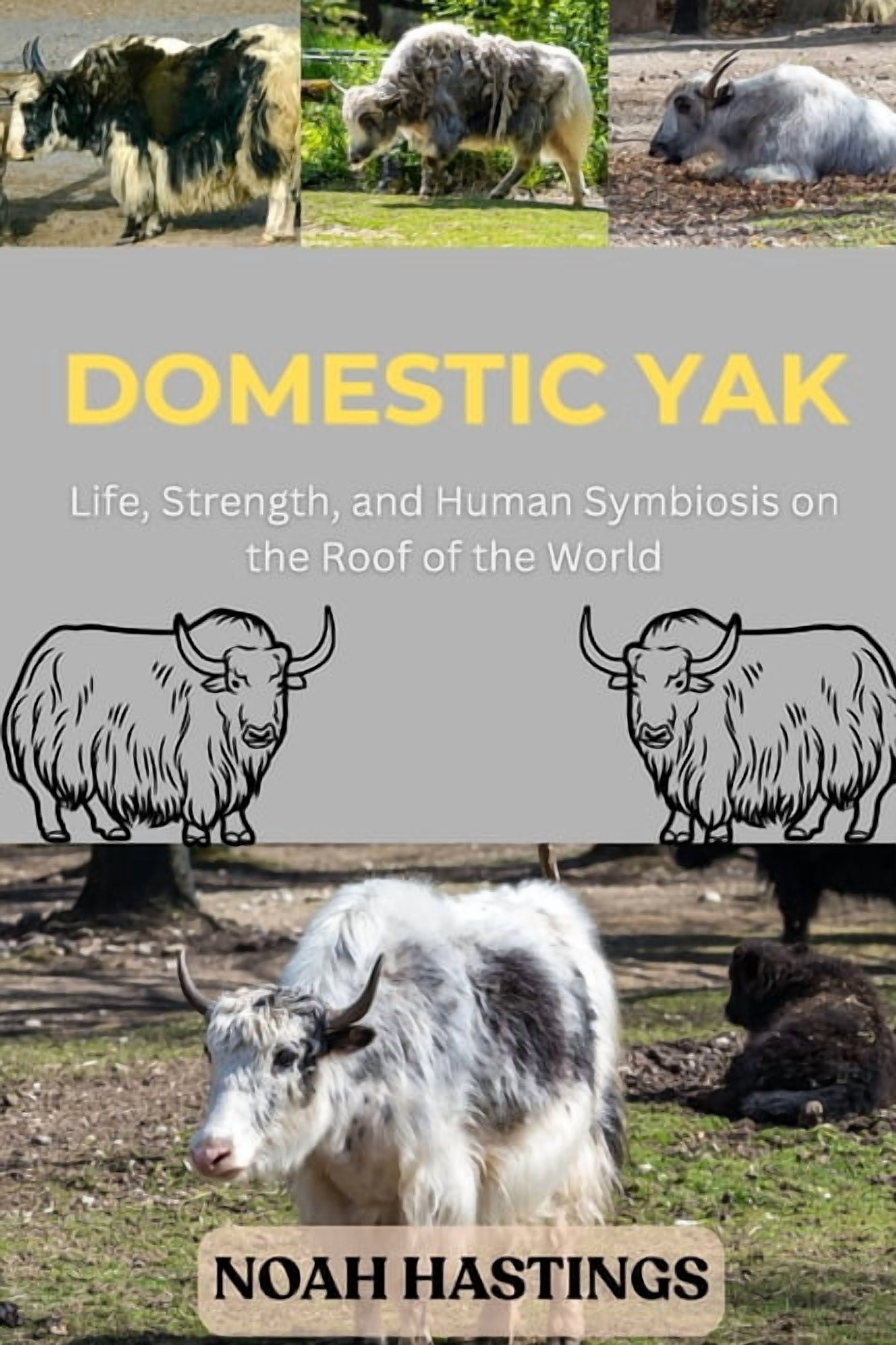 Domestic Yak: Life, Strength, and Human Symbiosis on the Roof of the World, (Paperback)