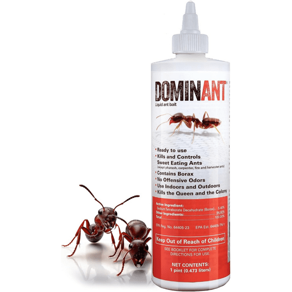 Dominant Ant Bait Liquid 16oz- Nisus Borate Ant Poison