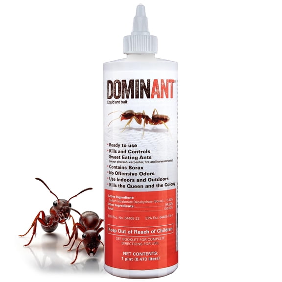 Dominant Liquid Ant Bait, Borax-Based Eliminator, Super Sweet Attractant, Controls and eliminates Household Ants, Use Indoors and Outdoors, 16 oz