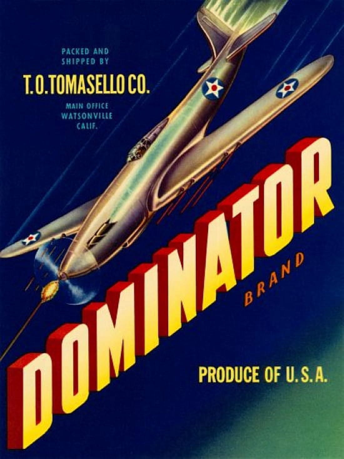Dominator airplane shooting WWII Canvas Art - (36 x 54)