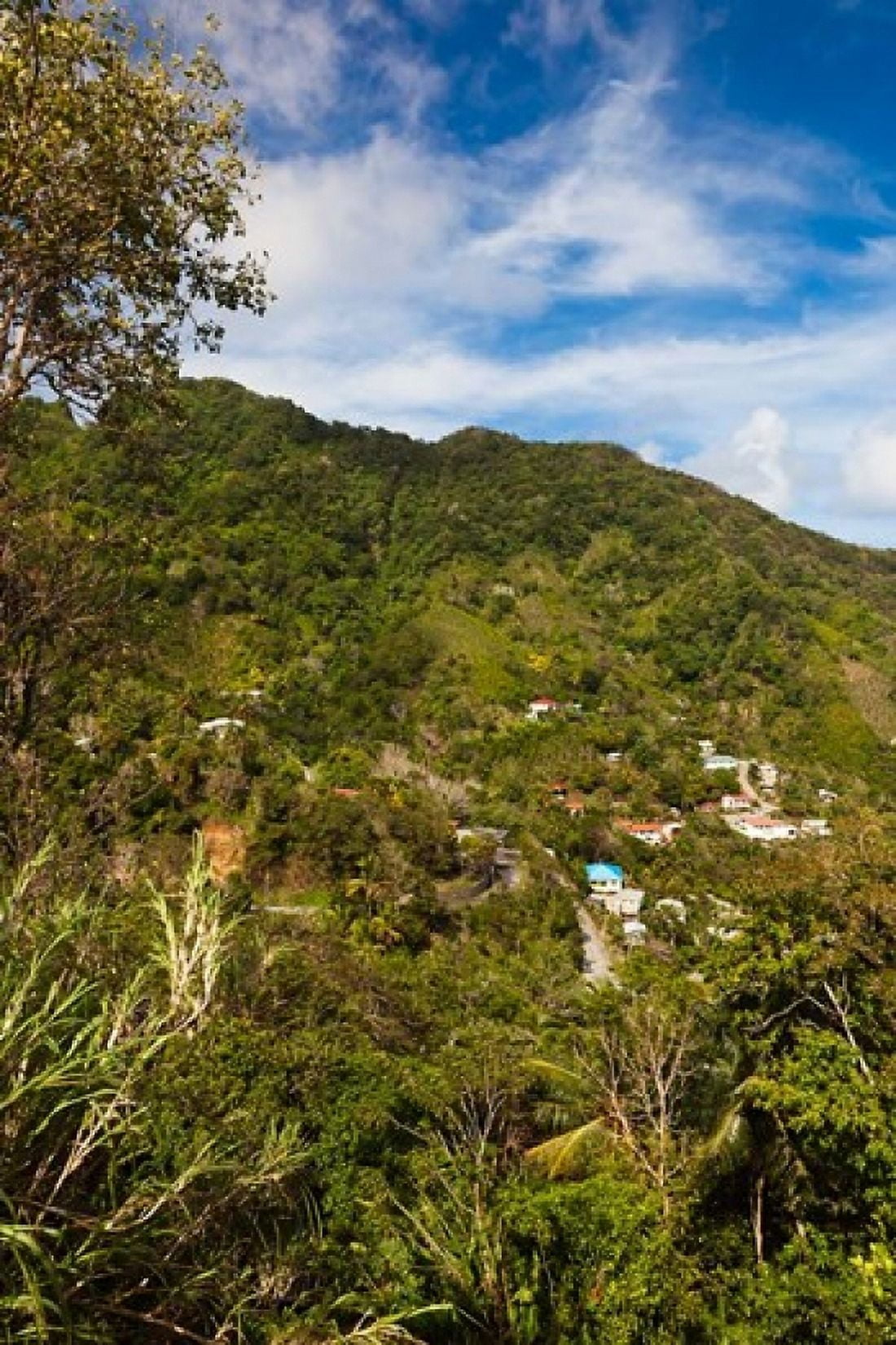 Dominica Roseau Grand Bay Area Petite Savanne Canvas Art - Walter Bibikow DanitaDelimont (19 x 28)