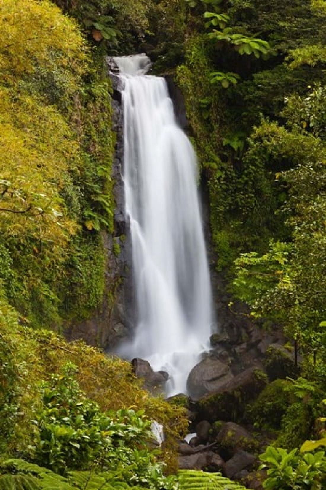Dominica Roseau Trafalgar Waterfalls Canvas Art - Walter Bibikow DanitaDelimont (19 x 28)