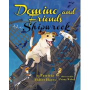The Wonderful World of Domino Domino and Friends - The Shipwreck, Book 4, Paperback
