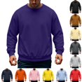 thumbnail image 1 of Domuza Men's Crewneck Fleece Sweatshirt Solid Color Classic Pullover Long Sleeve Tops Fall Winter Casual Regular Fit Sweatshirts, 1 of 4