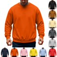 thumbnail image 1 of Domuza Men's Crewneck Fleece Sweatshirt Solid Color Classic Pullover Long Sleeve Tops Fall Winter Casual Regular Fit Sweatshirts, 1 of 4
