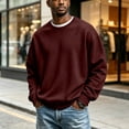 thumbnail image 1 of Domuza Men's Crewneck Sweatshirt Solid Color Classic Pullover Long Sleeve Tops, Lightweight Breathable Casual Sweatshirts, 1 of 6