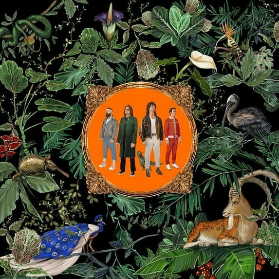 Don Broco - Amazing Things - Music & Performance - CD