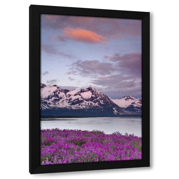 Don Paulson 17x24 Black Modern Wood Framed Wall Art Titled - AK, Alsek River and Fairweather Range at sunset