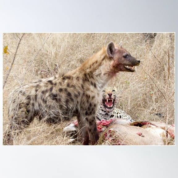 Don'T Just Stand There Grinning - Leave Now ! Poster Wall Art, Modern Wall Decor For Living Room Bedroom, 8x12 UNFRAMED