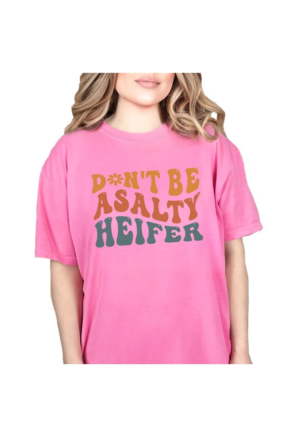 Don't Be a Salty Heifer, Don't Be Rude, Bitter or Angry Quote, Groovy Retro Wavy Text, Crunchberry Comfort Colors T-Shirt, Small