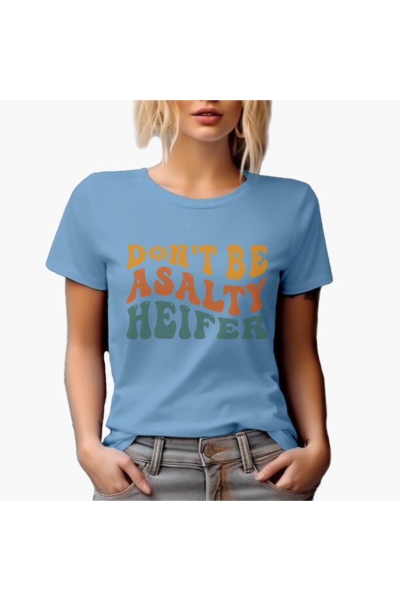 Don't Be a Salty Heifer, Don't Be Rude, Bitter or Angry Quote, Groovy Retro Wavy Text Merch Gift, Baby Blue T-Shirt, Small