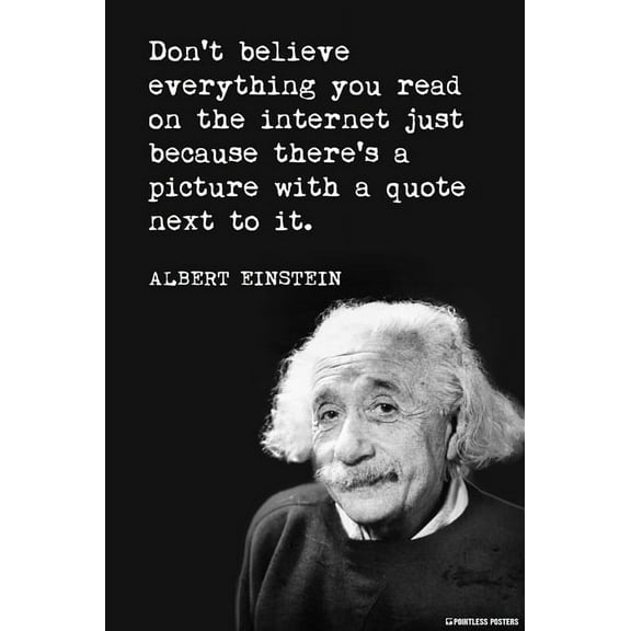 Don't Believe Everything You Read On The Internet Poster Print