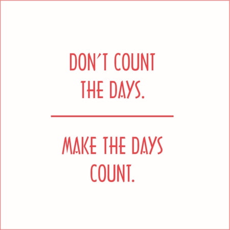 Don't Count the Days, Make the Days Count Vinyl Quote - Large - Red