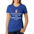thumbnail image 1 of Don't Do Calm Puerto Rican Juniors Soft Heather T Shirt Heather Royal 2XL, 1 of 1