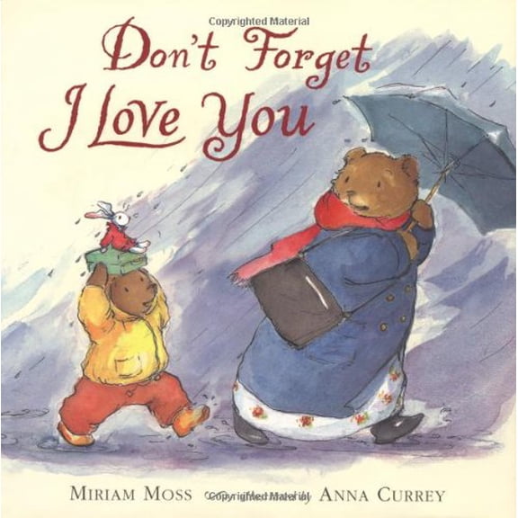 Pre-Owned Don't Forget I Love You (Hardcover) 0803729200 9780803729209