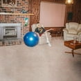 thumbnail image 1 of Don't Let The Kids Win, 1 of 1