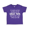 thumbnail image 1 of Don't Mess With My Great Papa Toddler T-Shirt 4T Purple, 1 of 3