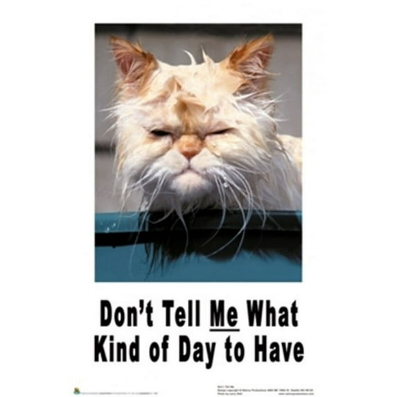 Don't Tell Me What Kind of Day to Have - Cat Poster (24 x 36)