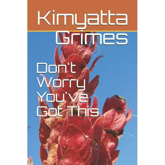 Don't Worry You've Got This (Paperback)