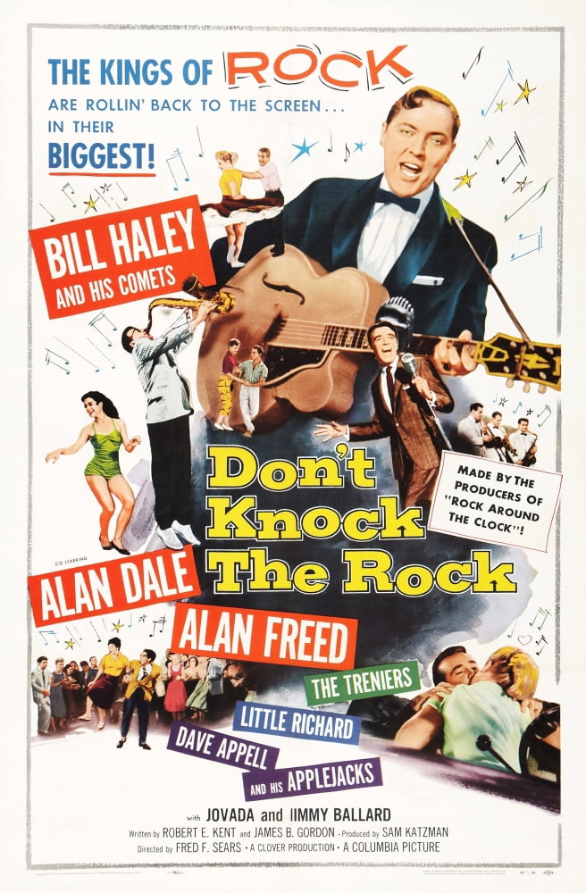 DonT Knock The Rock Canvas Art - (24 x 36)