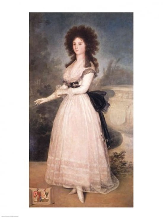 Dona Tadea Arias de Enriquez 1793-94 Canvas Art - Francisco De Goya (18 x 24)