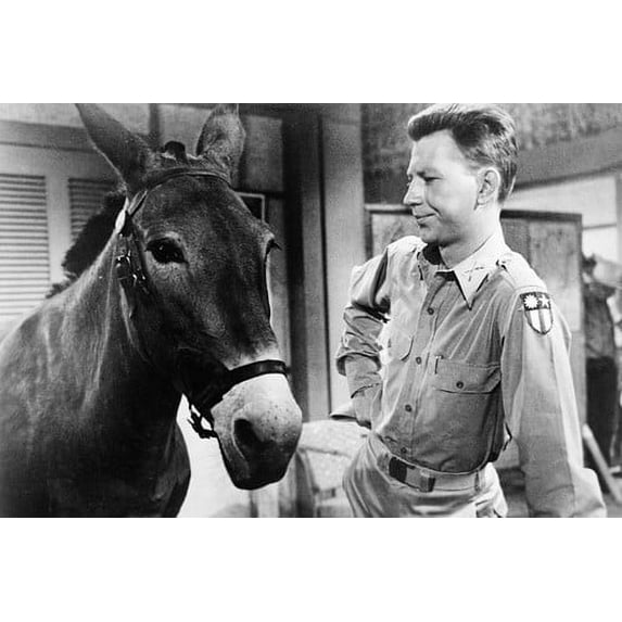 Donald O'Connor in Francis 24x36 Poster