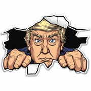 Donald Trump 3D Peeking Sticker for Car, Truck, Laptop, or Wall   Hilarious Political Vinyl Decal   Waterproof, Fade-Resistant, Easy to Apply for Outdoor and Indoor Use