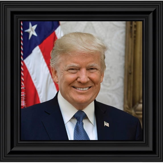 Donald Trump Official Framed Presidential Portrait, 10x10 8755