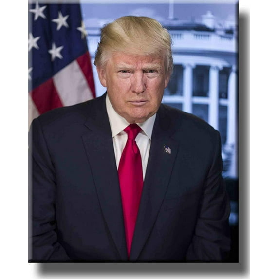 Donald Trump Portrait Picture on Stretched Canvas Wall Art Decor, Ready to Hang!