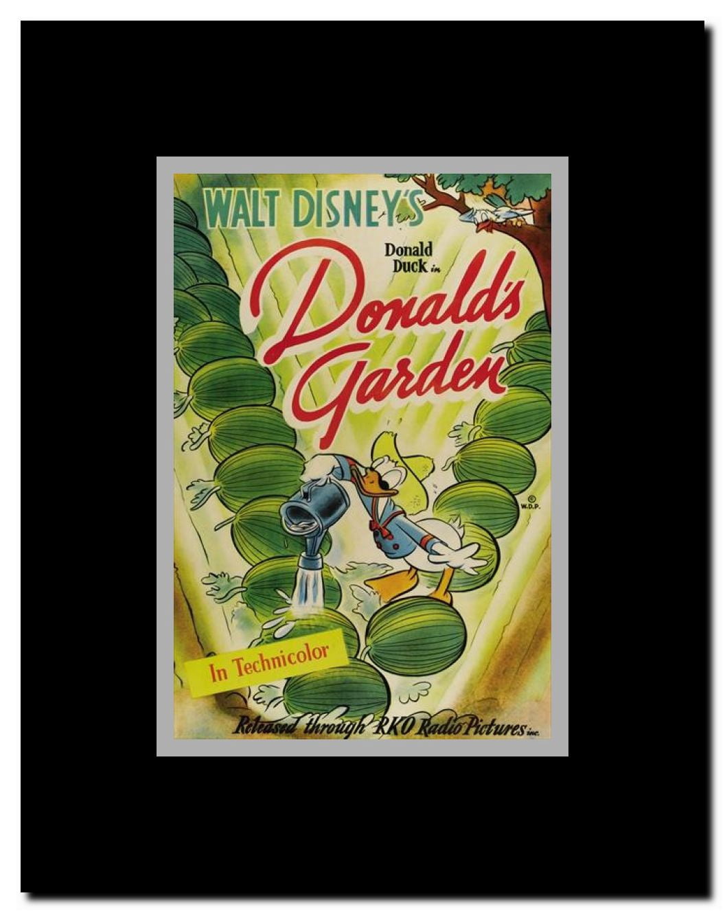 Donald's Garden Framed Movie Poster