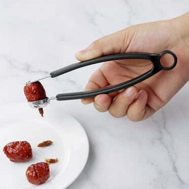 Donemore Cherry Pitter Tool, 1Pcs Stainless Steel Cherry Corer Pitter Portable Cherry Seed Remover Multifunctional Kitchen Gadgets, Small Pitter for Cherry, Hawthorn, Jujube, Red Date