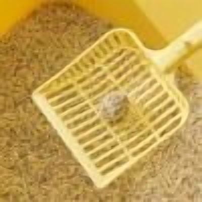 Dongrere Cat Litter Scoop Plastic Cat Poop Shovel to Quickly Sifting Out Clean Cat Litter