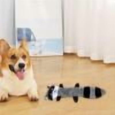 Dongrere Dog Toys for Aggressive Chewers Doll Stuffed for Pet for Gift Chew Toys for Teething