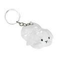 thumbnail image 1 of Dongrere Pet Hair Storage Keychain - Transparent Portable Pet Hair Memorial Locket for Keys, Collars & Bags, Pet Keepsake Organizer, 1 of 1
