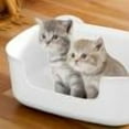 thumbnail image 1 of Dongrere Plastic Litter Box Large Cats Litter Box with Scoop for Large Cat Pet Supplies for Home, 1 of 6