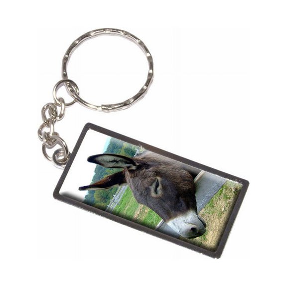 Donkey At The Fence Keychain Key Chain Ring