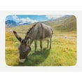 thumbnail image 1 of Donkey Bath Mat, Donkey Eating Grass in Mountain Landscape Rural Pasture Area Summer Nature, Plush Bathroom Decor Mat with Non Slip Backing, 29.5" X 17.5", Multicolor, by Ambesonne, 1 of 2