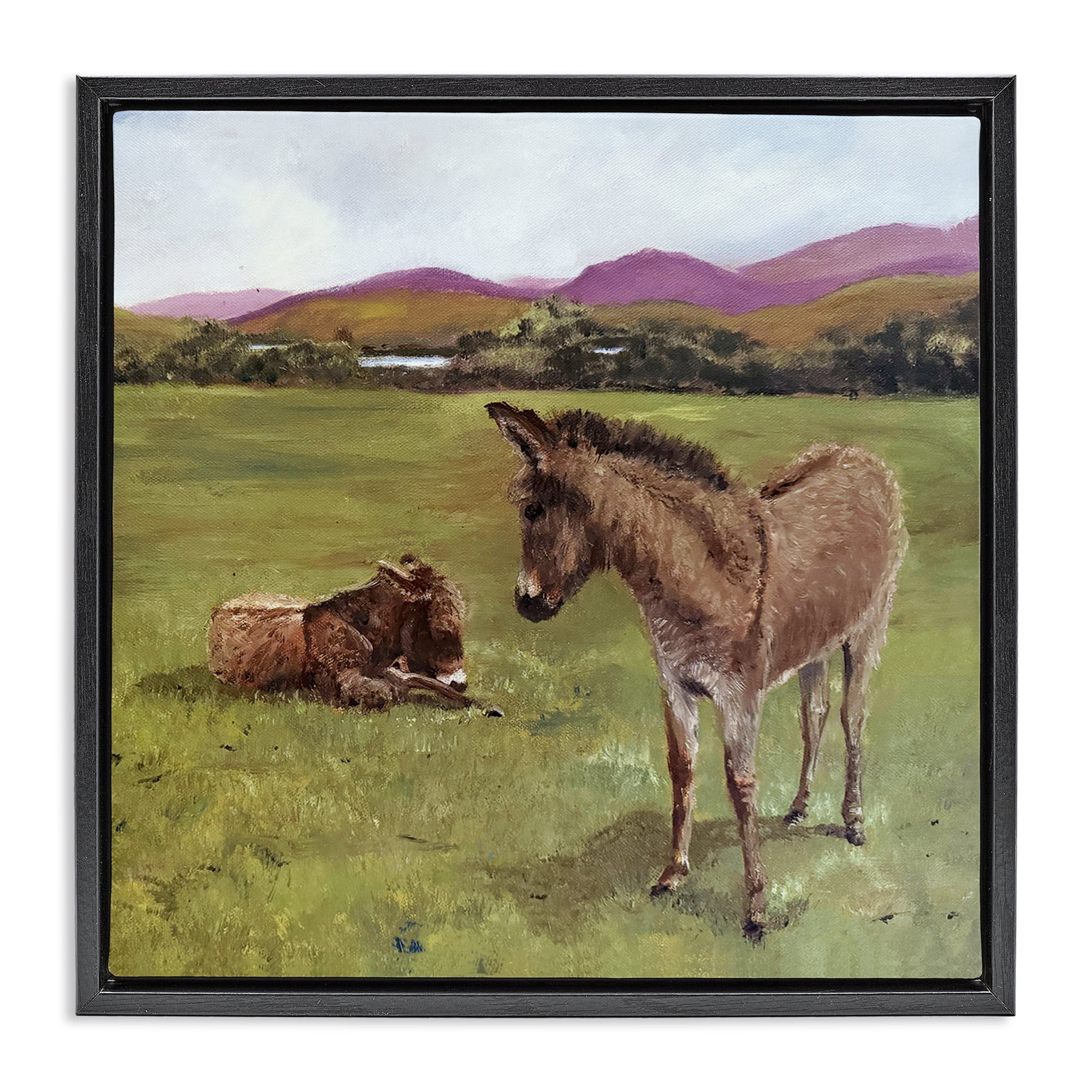 Donkey Duo in Pasture Black Framed Floater Canvas Wall Art, design by Patricia Reynolds