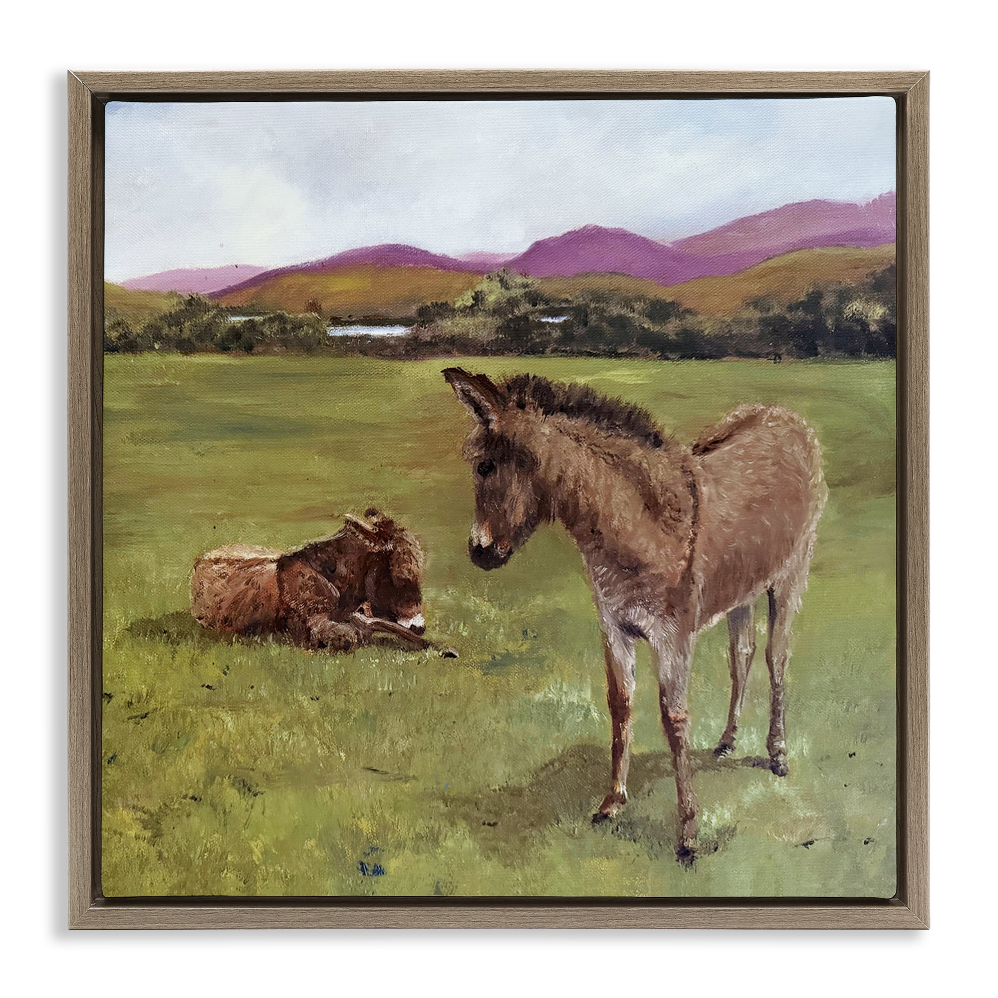 Donkey Duo in Pasture Brown Framed Floater Canvas Wall Art, design by Patricia Reynolds