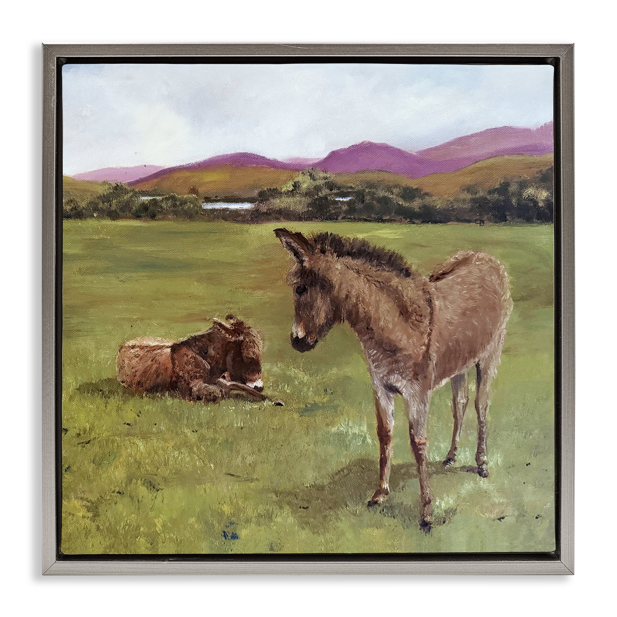 Donkey Duo in Pasture Gray Framed Floater Canvas Wall Art, design by Patricia Reynolds