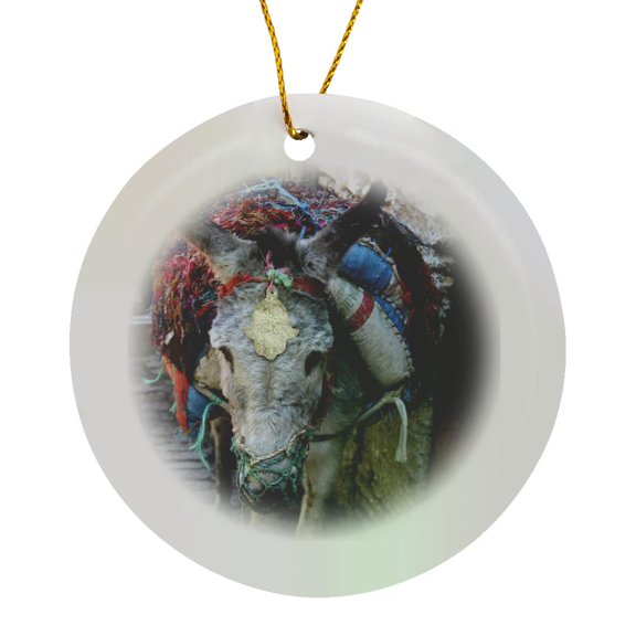 3drose, Donkey of the Souks Markets, Fes, Morocco, Africa - Af29 Kwi0073 - Kymri Wilt, Circle Porcelain Ornament