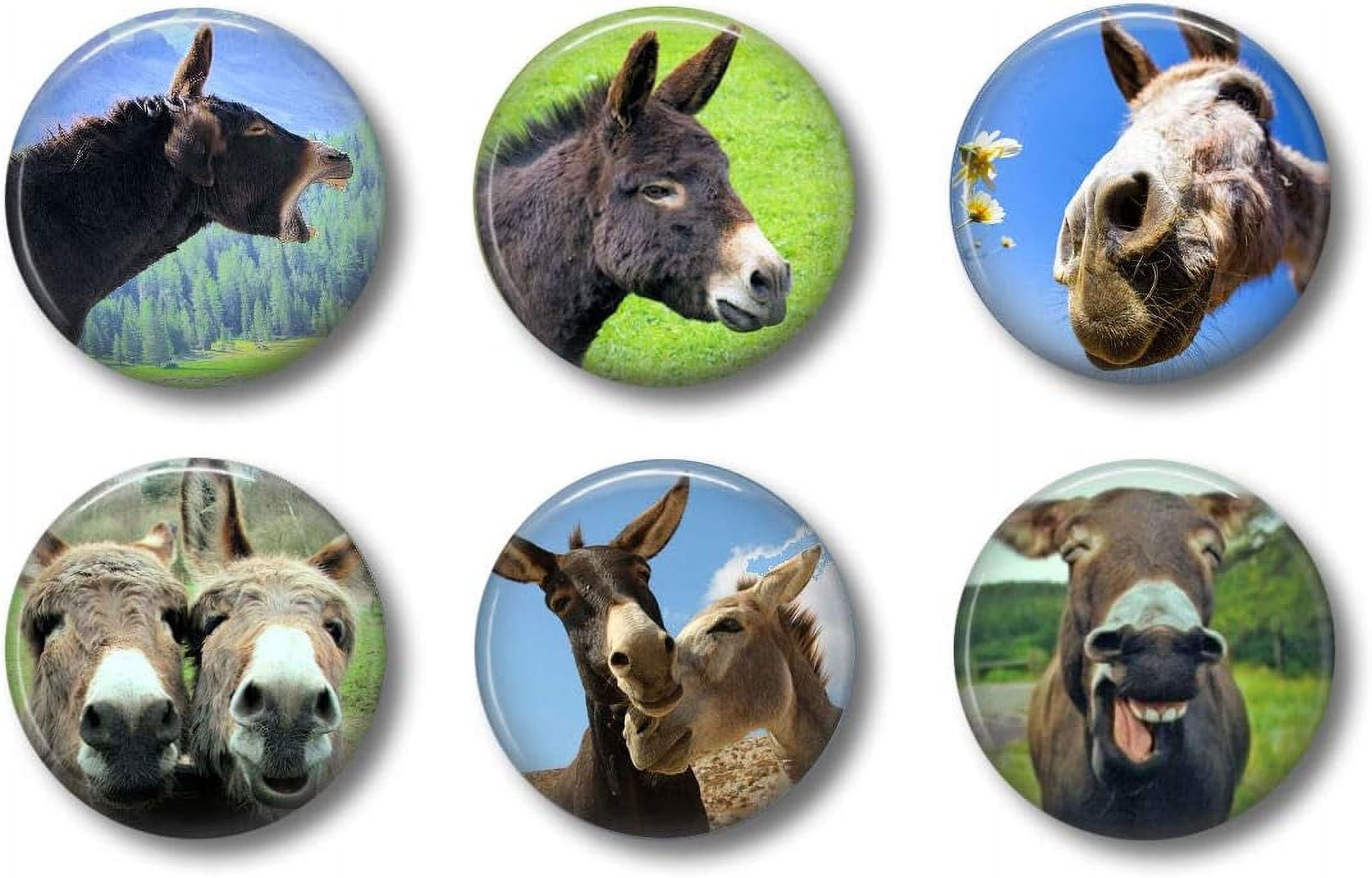 Donkey Refrigerator Set of 6 Cute Whiteboard For