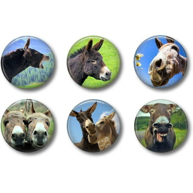 Donkey Refrigerator Set of 6 Cute Whiteboard For