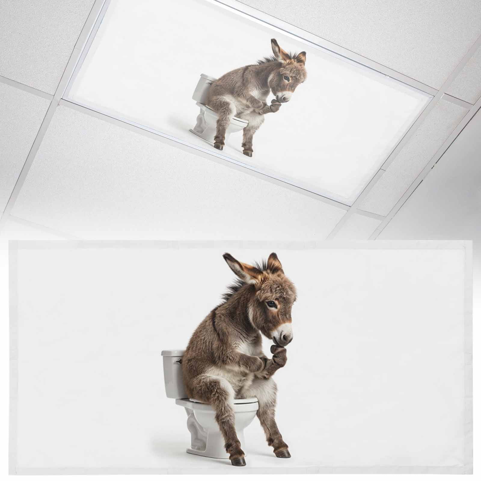 Donkey Light Box Donkey Sitting on The Toilet Thinking Fluorescent Light Covers Abstract ...