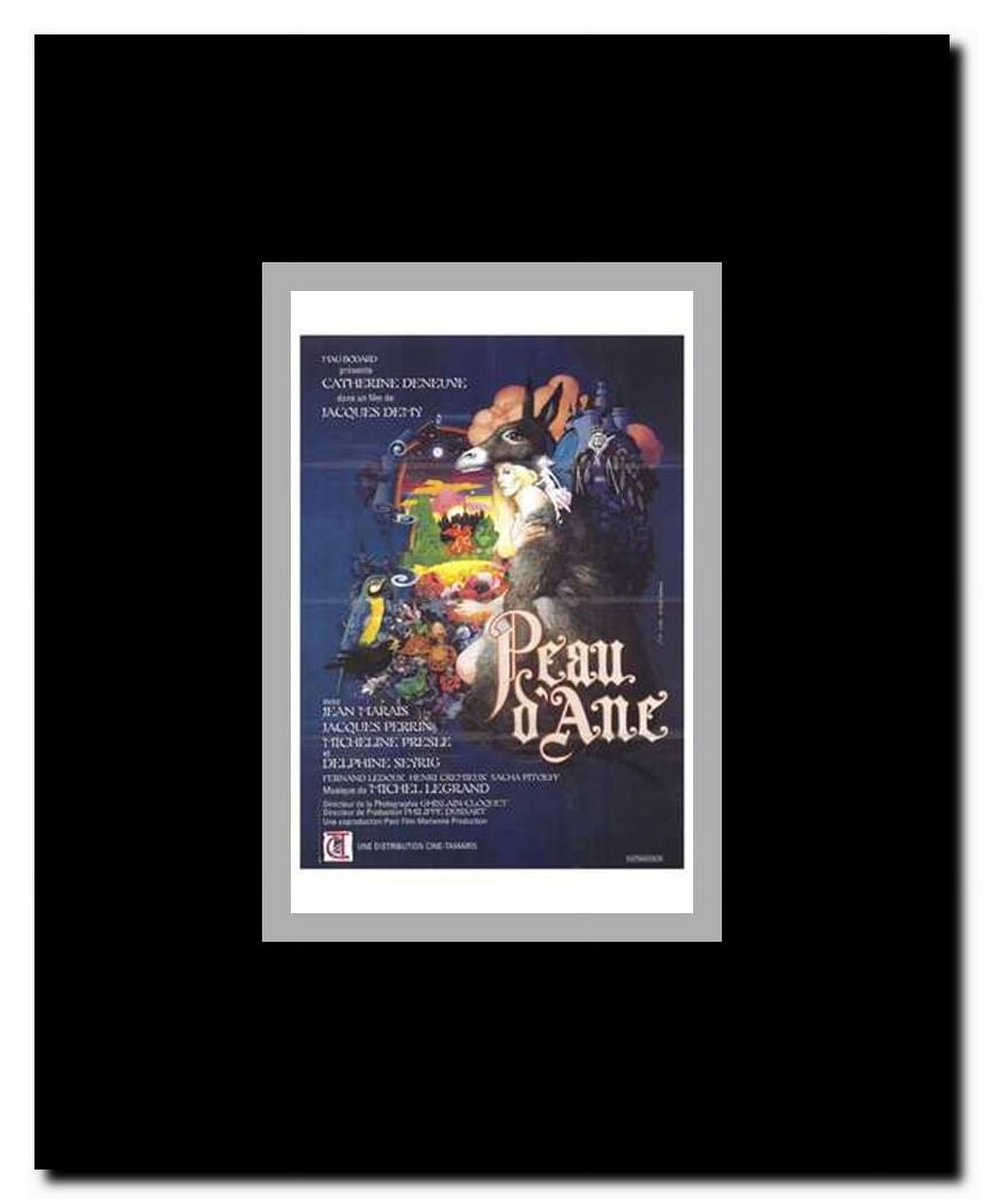 Donkey Skin Framed Movie Poster