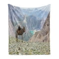 thumbnail image 1 of Donkey Soft Flannel Fleece Blanket, Animal with Traditional Harness Carrying a Sheep Wild Mountain Area and Lake Scenery, Cozy Plush for Indoor and Outdoor Use, 50" x 70", Multicolor, by Ambesonne, 1 of 6