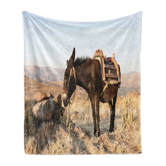 Donkey Soft Flannel Fleece Blanket, Greek Donkey up in the Mountains of Lesvos Island in Mediterranean Sea Digital Image, Cozy Plush for Indoor and Outdoor Use, 50" x 60", Multicolor, by Ambesonne