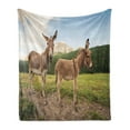 thumbnail image 1 of Donkey Soft Flannel Fleece Throw Blanket, 2 Donkeys Standing on the Meadow in Dolomites Italy Mediterranean Countryside, Cozy Plush for Indoor and Outdoor Use, 70" x 90", Multicolor, by Ambesonne, 1 of 6