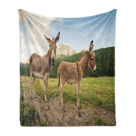 Donkey Soft Flannel Fleece Throw Blanket, 2 Donkeys Standing on the Meadow in Dolomites Italy Mediterranean Countryside, Cozy Plush for Indoor and Outdoor Use, 70" x 90", Multicolor, by Ambesonne