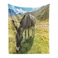 thumbnail image 1 of Donkey Soft Flannel Fleece Throw Blanket, Donkey Eating Grass in Mountain Landscape Rural Pasture Area Summer Nature, Cozy Plush for Indoor and Outdoor Use, 50" x 60", Multicolor, by Ambesonne, 1 of 6